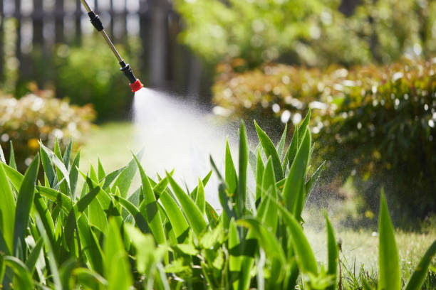 24/7 Emergency Bed Bug Control experts in Gordon, NE